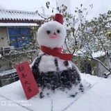 路啦啦啦库库卡