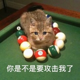 其实我是momo