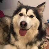 Freya