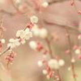 深蓝