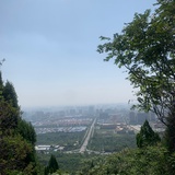 麦田守望