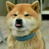 大肥羊~