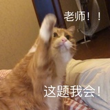不会抓鱼