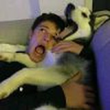 温柔的撒大