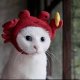 西西