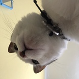 beibei是我