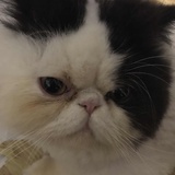 mo