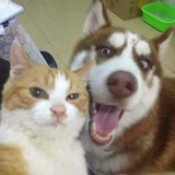 有人说