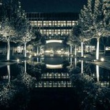 酸菜鱼