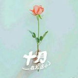 暖如朝阳2016