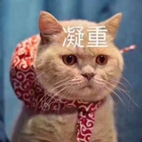 苏鸭呀