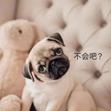 漏船载酒