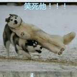 酱油之秋