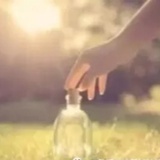 风在轻摇它的叶