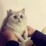 王瑞楠