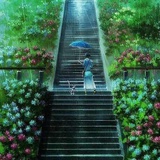 Aster
