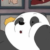 款冬