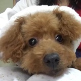 Millaaaaa_Mar