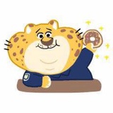 小阿拉🍩