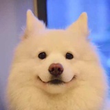 年轻人