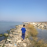 玥玥
