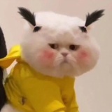 左转叔叔