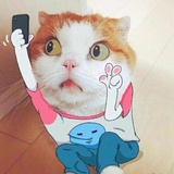 猛与萌 🌻