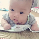 kylin