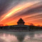 金葡