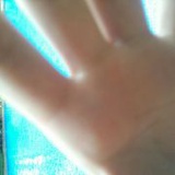 幽雅的禽兽