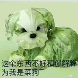 绿萝
