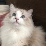 风