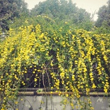 为你而来