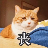 昨天的鸡腿有毒