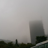 梦里不知风何处