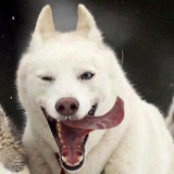是