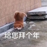 豆友158371516