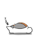安慕慕