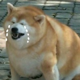 我的秘密花园