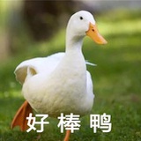羊发菜