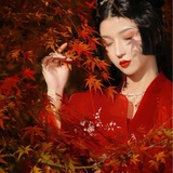 倾尽天夏
