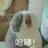 雪儿
