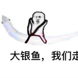 莱西湖大银鱼