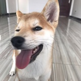 高桥馨