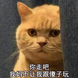 嗑瓜子打孩子