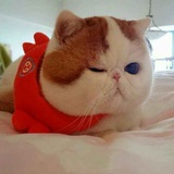 杰瑞