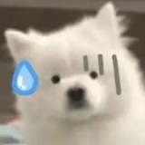 西西不猜成语
