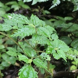 陪你到永远