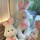 东方瓷娃娃