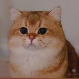 没有昵称